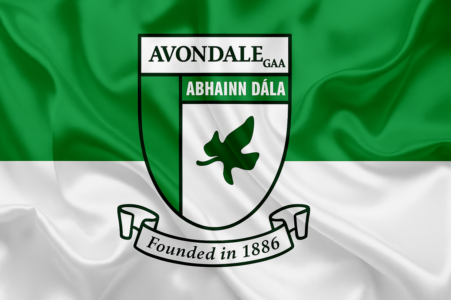 Avondale GAA Club Flag
