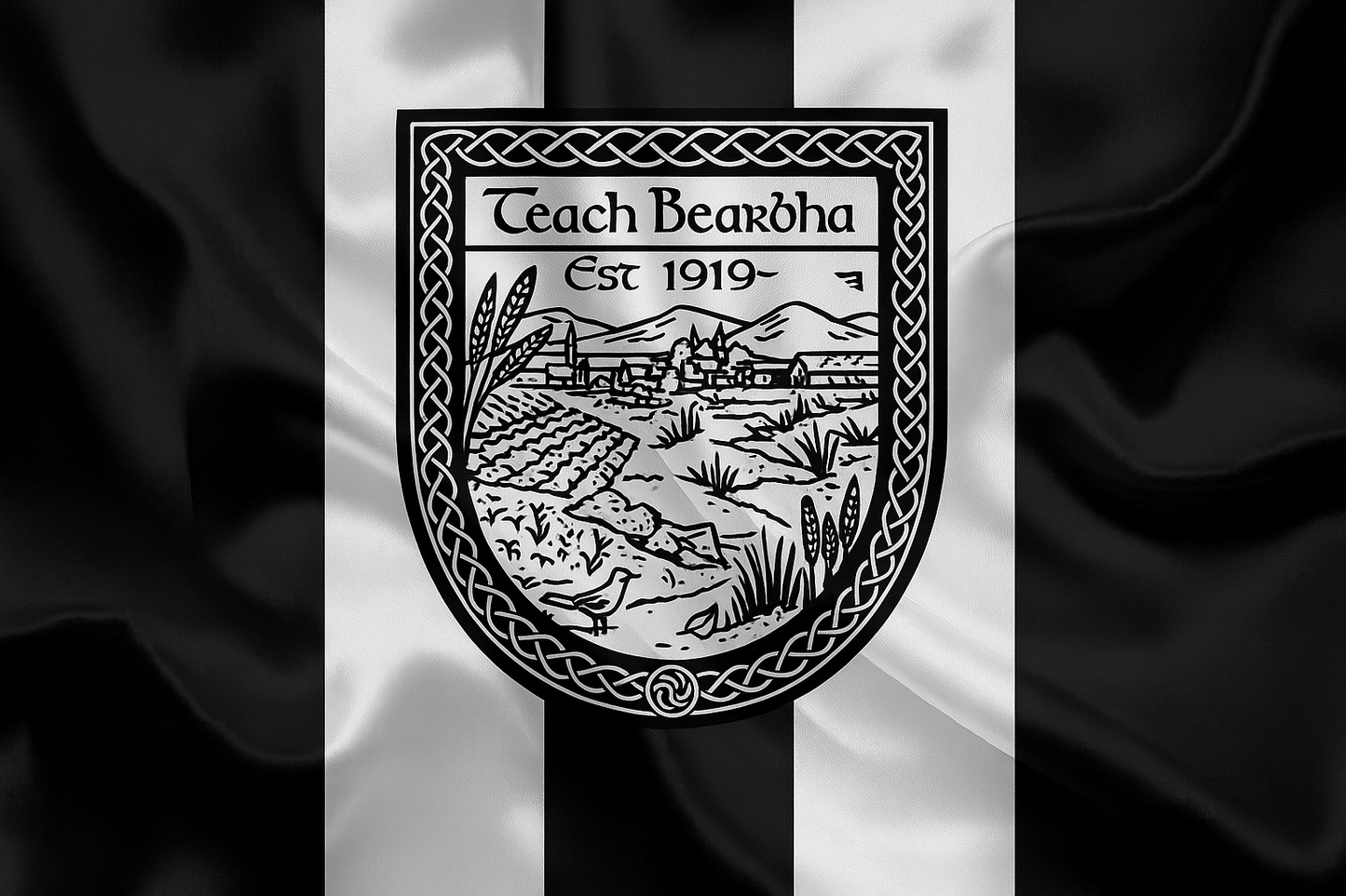 Barrowhouse GAA Club Flag