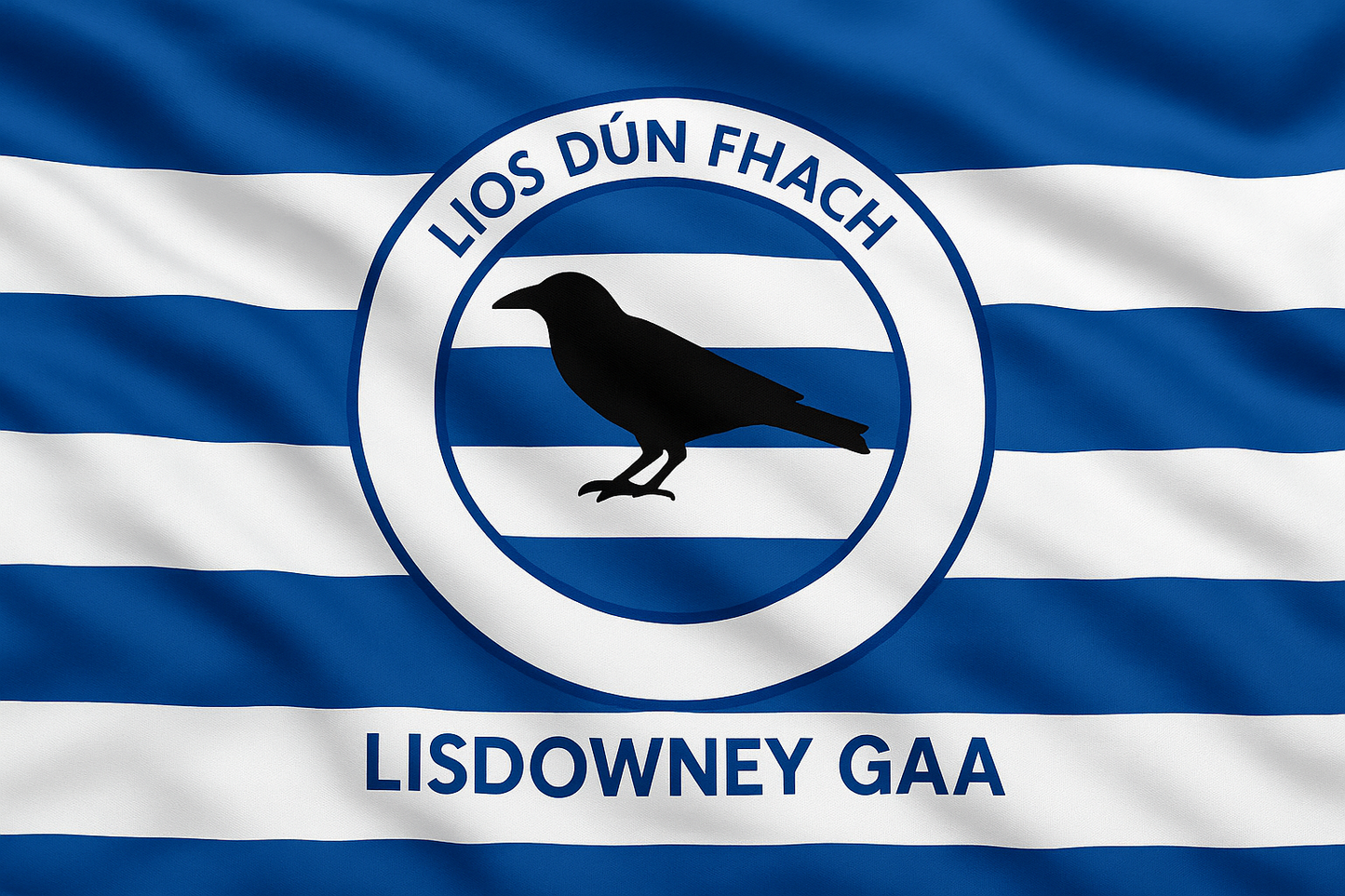 Lisdowney GAA Club Flag