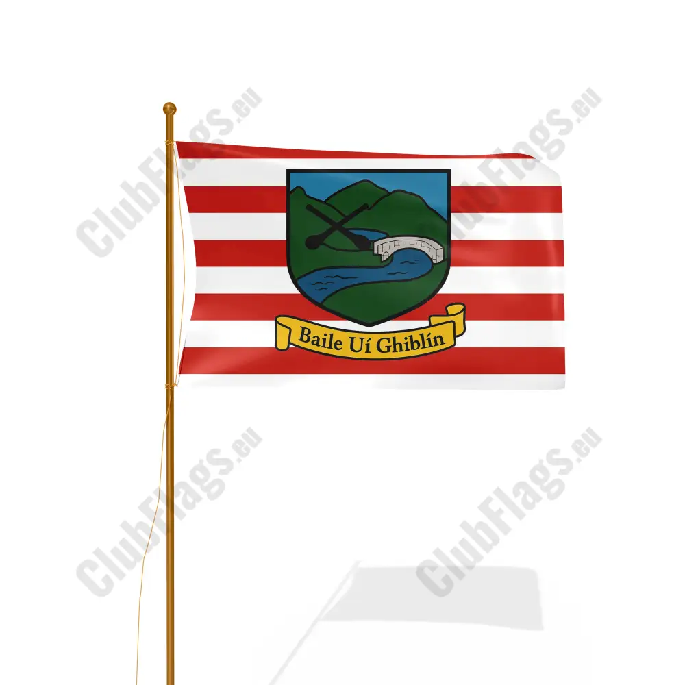 Ballygiblin GAA Flag GAA Clubs