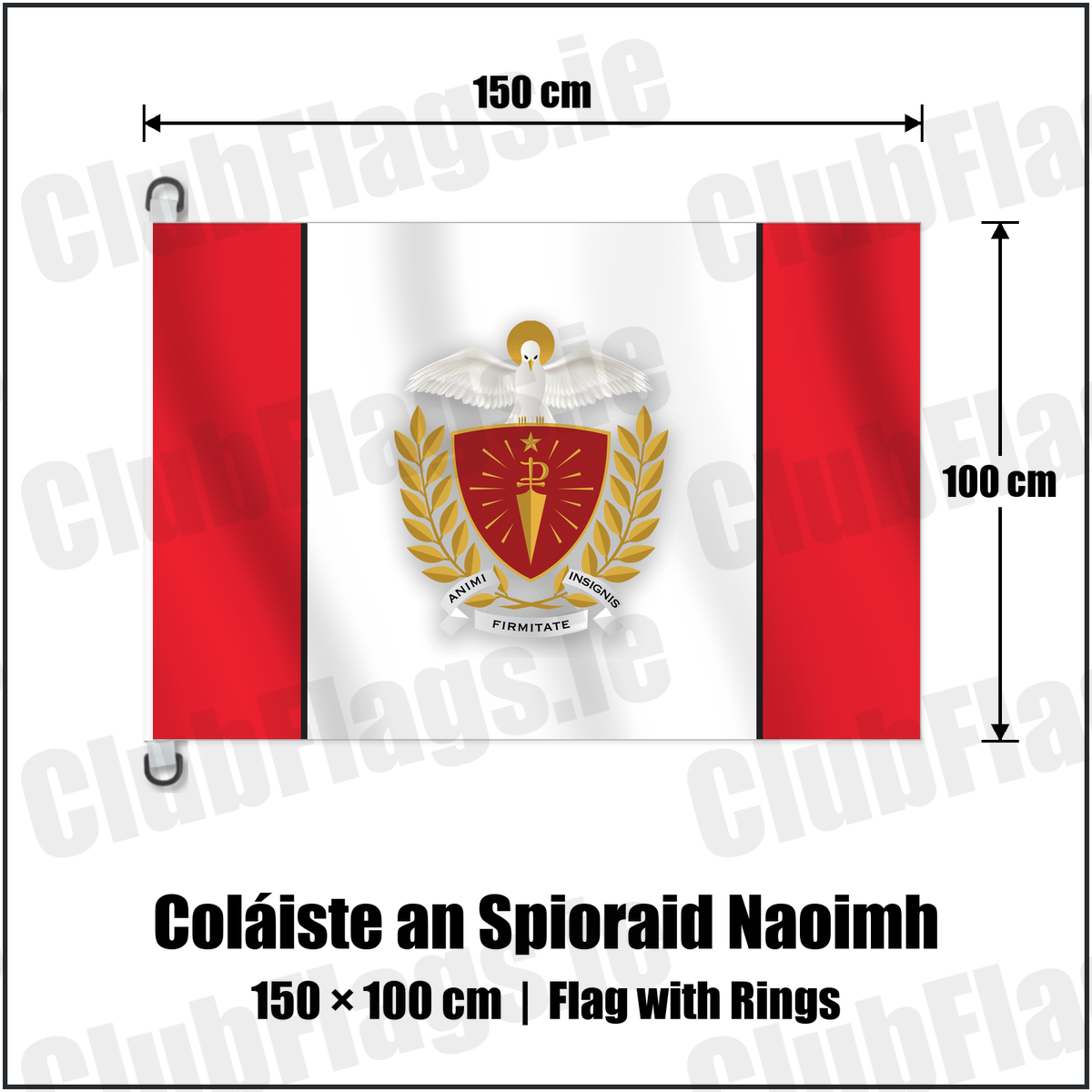 Coláiste an Spioraid Naoimh 150cm x 100cm Flag Pole Flag with Rings with the club crest and colours, Cork GAA - ClubFlags.ie