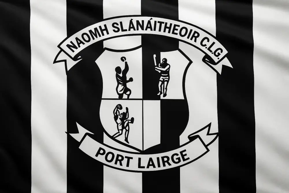 St Saviour’s GAA Club Flag GAA Clubs