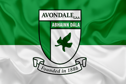 Avondale GAA Club Flag
