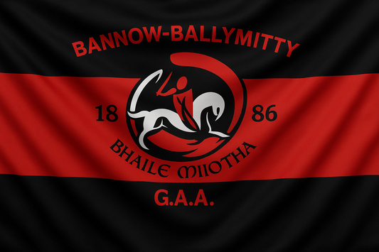Bannow Ballymitty GAA Club Flag