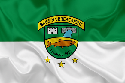 Ballinabrackey GAA Club Flag
