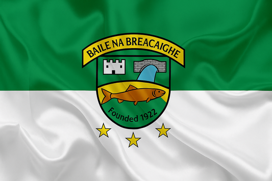 Ballinabrackey GAA Club Flag