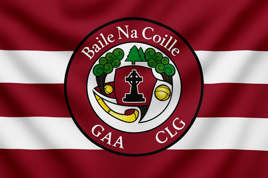 Ballinakill GAA Club Flag