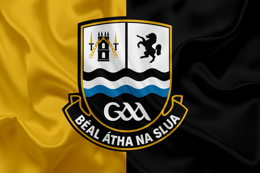 Ballinasloe GAA Club Flag