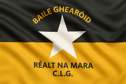 Ballygarrett Réalt na Mara GAA Club Flag