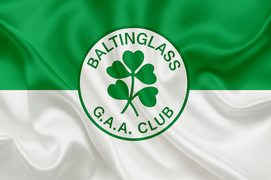 Baltinglass GAA Club Flag