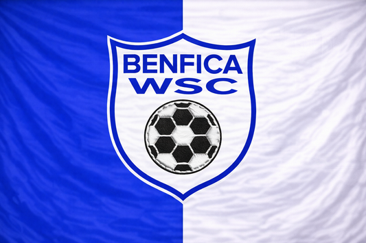 Benfica Waterford FC Flag