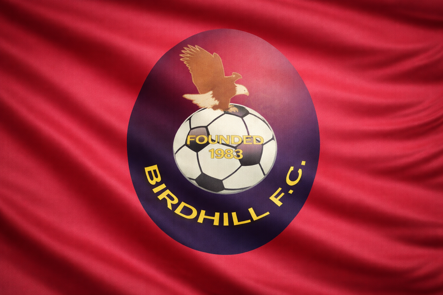 Birdhill FC Flag