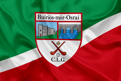 Borris-in-Ossory GAA Club Flag