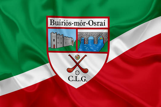 Borris-in-Ossory GAA Club Flag