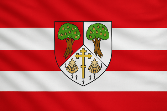 Edenderry GAA Club Flag