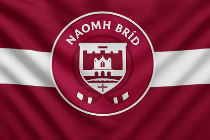Naomh Brid Carlow GAA Club Flag