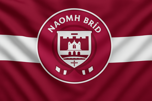 Naomh Brid Carlow GAA Club Flag