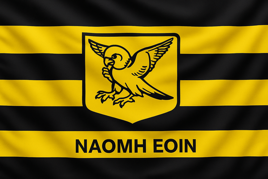Naomh Eoin GAA Club Flag