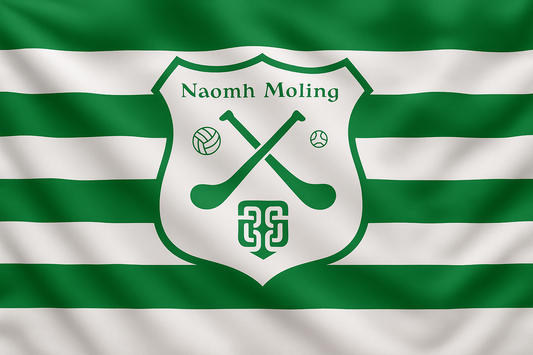 Naomh Moling GAA Club Flag