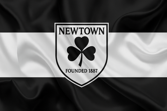 Newtown Wicklow GAA Club Flag