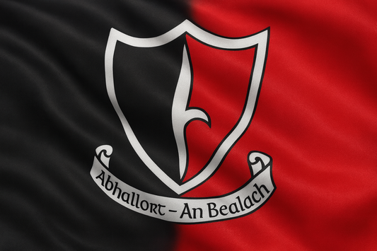 Oulart The Ballagh GAA Club Flag