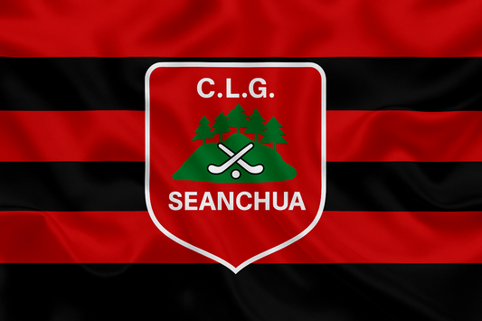 Shanahoe GAA Club Flag