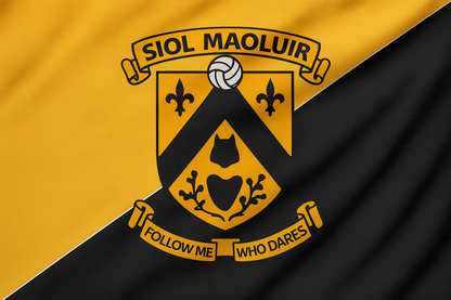 Shelmalier GAA Club Flag