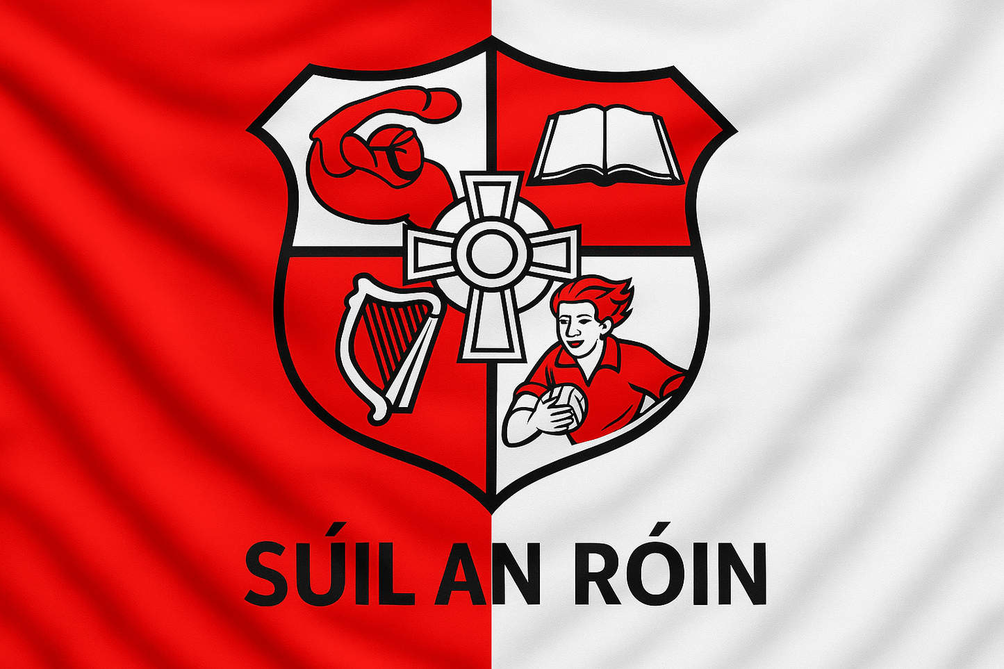 Shinrone GAA Club Flag