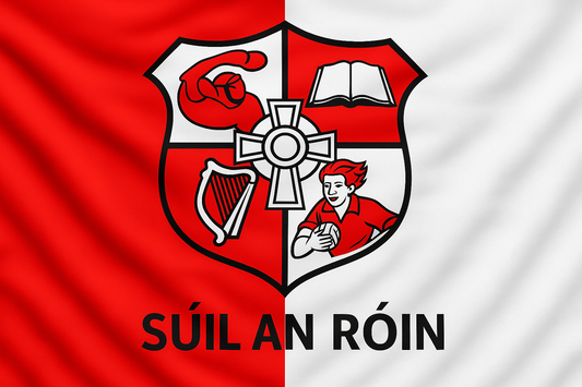 Shinrone GAA Club Flag