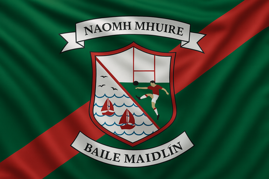 St Marys Wexford GAA Club Flag