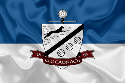 St Dominics Longford GAA Club flag