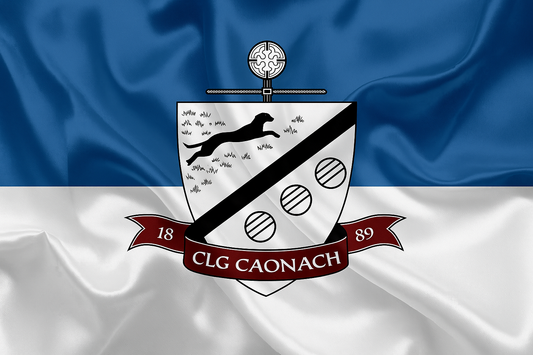 St Dominics Longford GAA Club flag