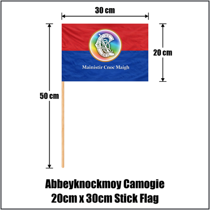 Abbeyknockmoy Camogie 20cm x 30cm Stick Flag - ClubFlags.ie