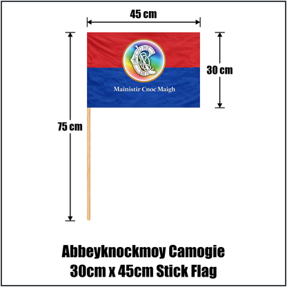 Abbeyknockmoy Camogie 30cm x 45cm Stick Flag - ClubFlags.ie