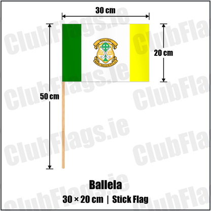Ballela 20cm x 30cm Stick Flag with the club crest and colours, Down GAA - ClubFlags.ie