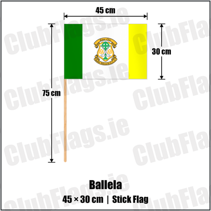 Ballela 30cm x 45cm Stick Flag with the club crest and colours, Down GAA - ClubFlags.ie