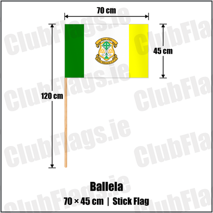 Ballela 45cm x 70cm Stick Flag with the club crest and colours, Down GAA - ClubFlags.ie