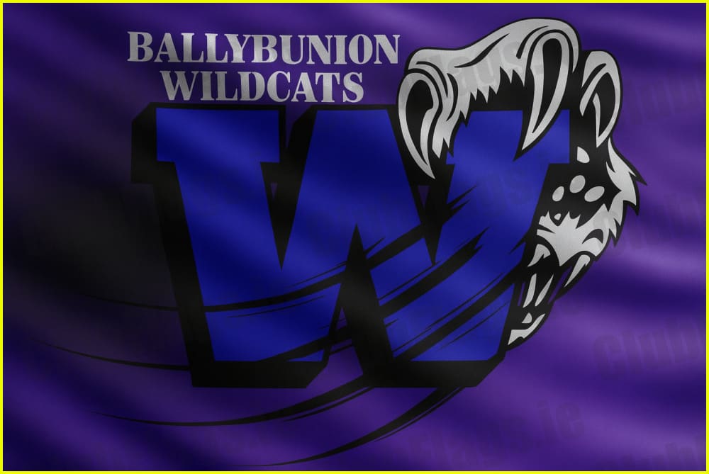 Ballybunion Wildcats Basketball Club Flag - Basketball Clubs