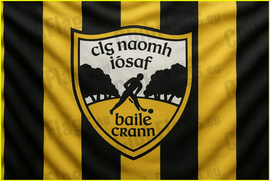 Ballycran GAA Club Flag GAA Clubs