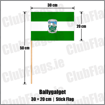 Ballygalget 20cm x 30cm Stick Flag with the club crest and colours, Down GAA - ClubFlags.ie