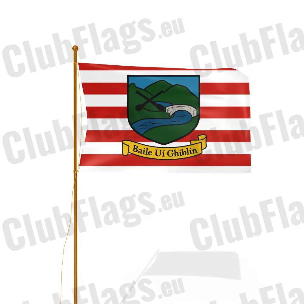 Ballygiblin GAA Flag GAA Clubs