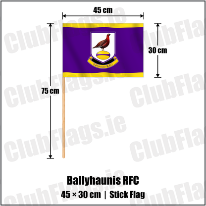 Ballyhaunis RFC 30cm x 45cm Stick Flag with the club crest and colours, Mayo Rugby - ClubFlags.ie