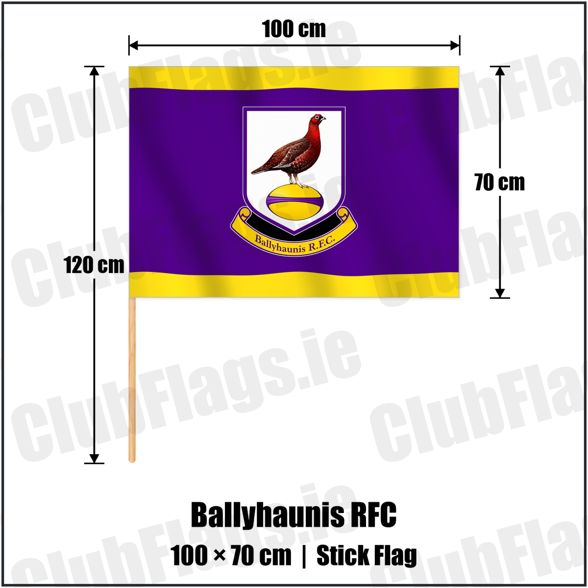 Ballyhaunis RFC 70cm x 100cm Stick Flag with the club crest and colours, Mayo Rugby - ClubFlags.ie