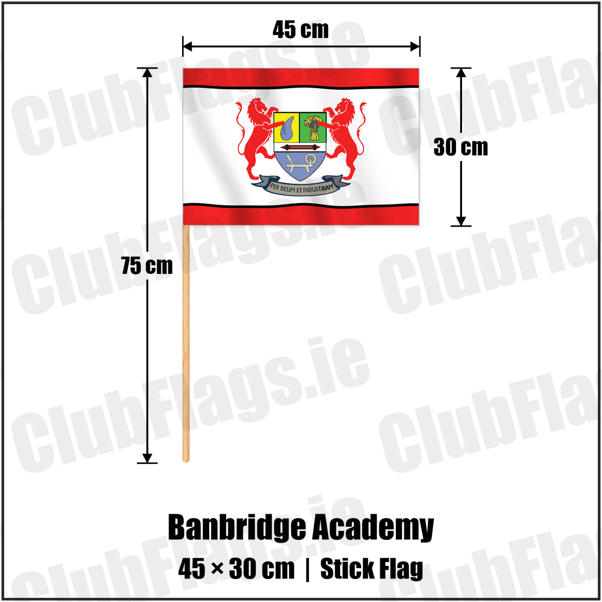 Banbridge Academy 30cm x 45cm Stick Flag with the club crest and colours, Down Rugby - ClubFlags.ie