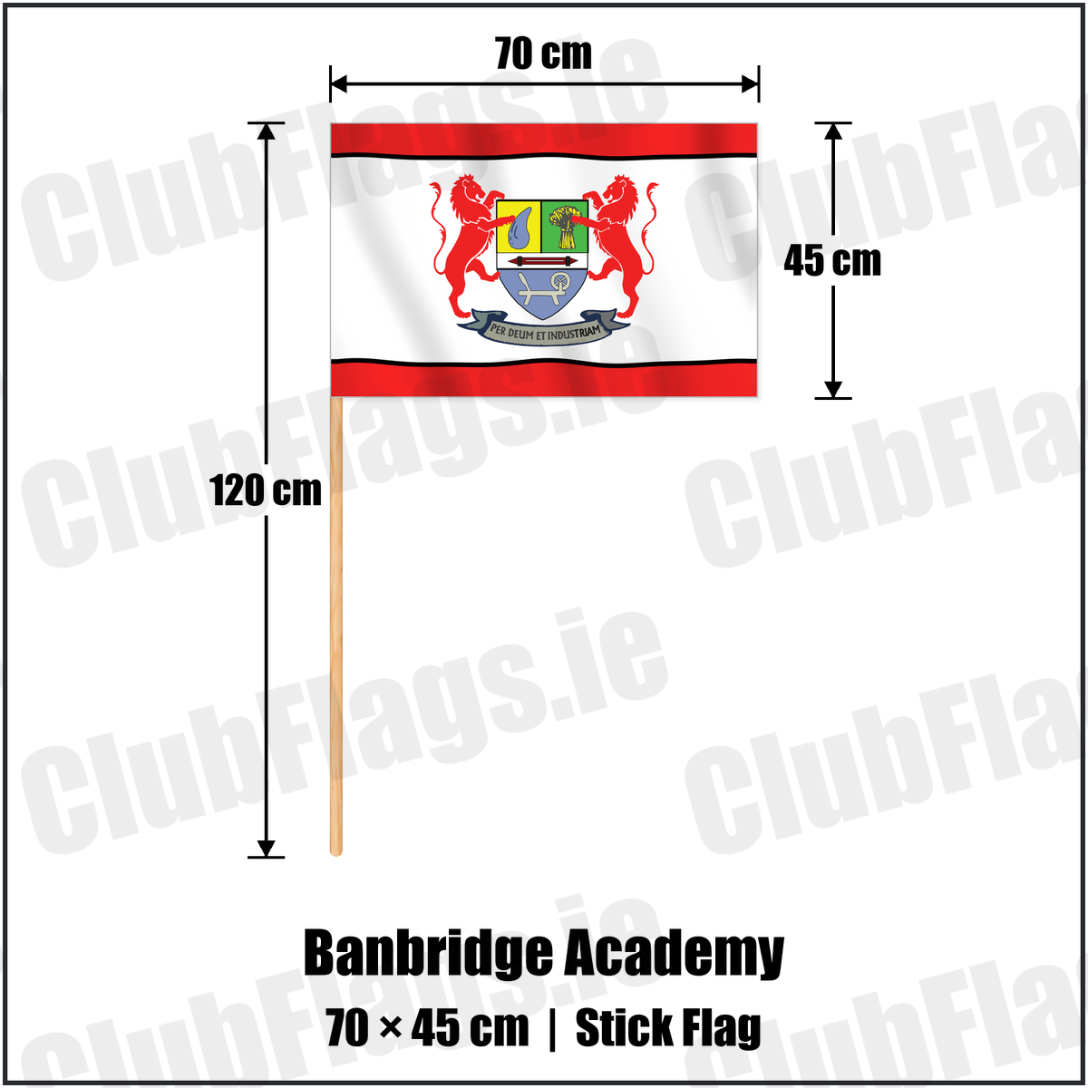 Banbridge Academy 45cm x 70cm Stick Flag with the club crest and colours, Down Rugby - ClubFlags.ie