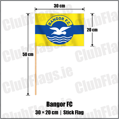 Bangor FC 20cm x 30cm Stick Flag with the club crest and colours, Down Football - ClubFlags.ie