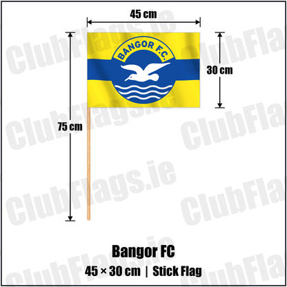 Bangor FC 30cm x 45cm Stick Flag with the club crest and colours, Down Football - ClubFlags.ie