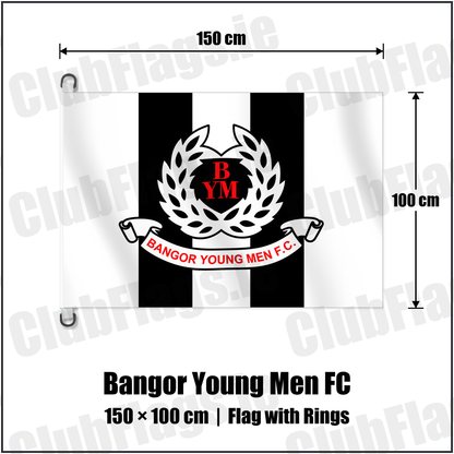Bangor Young Men FC 150cm x 100cm Flag Pole Flag with Rings with the club crest and colours, Down Football - ClubFlags.ie