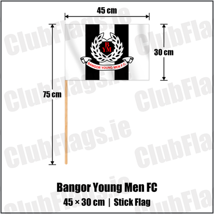 Bangor Young Men FC 30cm x 45cm Stick Flag with the club crest and colours, Down Football - ClubFlags.ie
