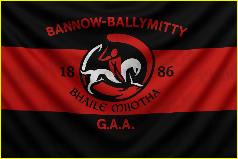Bannow Ballymitty GAA Club Flag - GAA Clubs